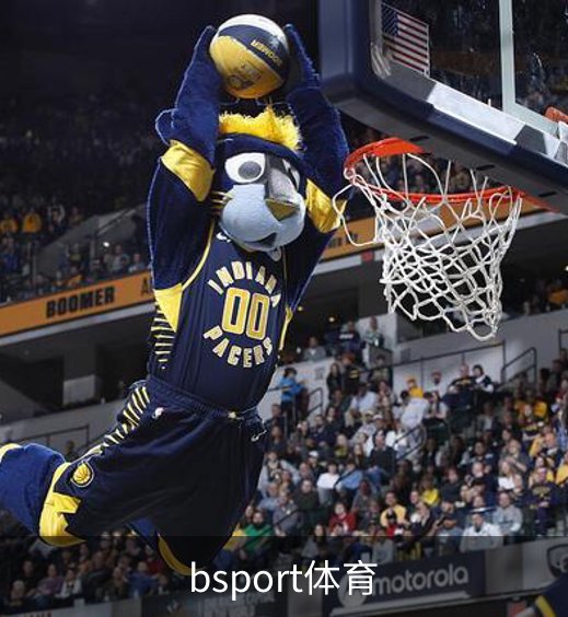 了解bsport体育